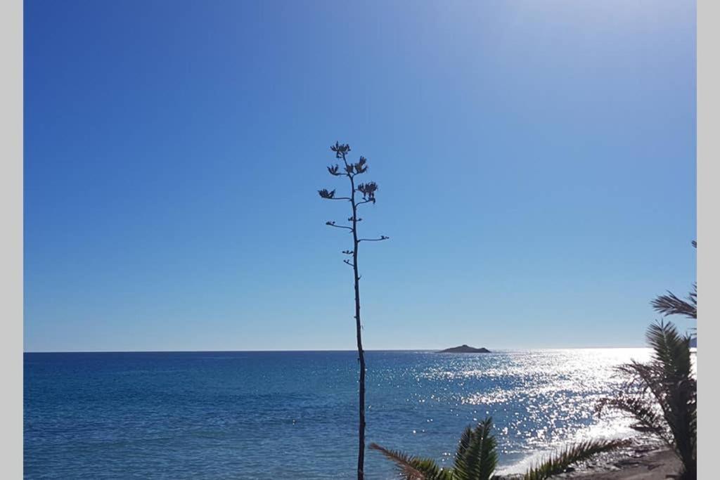 Pilki Apartamento Carboneras Dış mekan fotoğraf